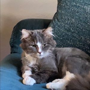 Meet your Posher, Stormy